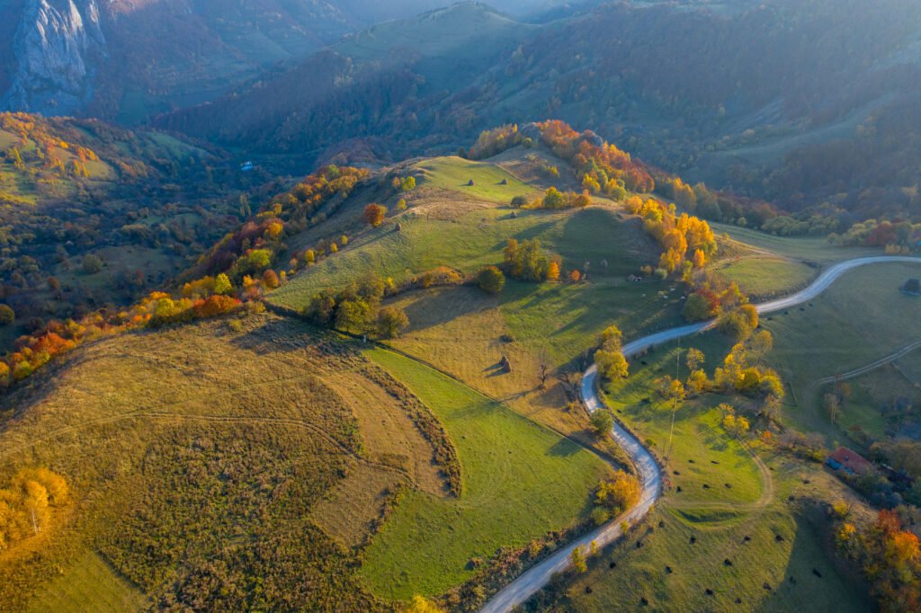 Serbia’s Agricultural Crossroads: Which Path Will the Future Take? aerial view of countryside road at autumn