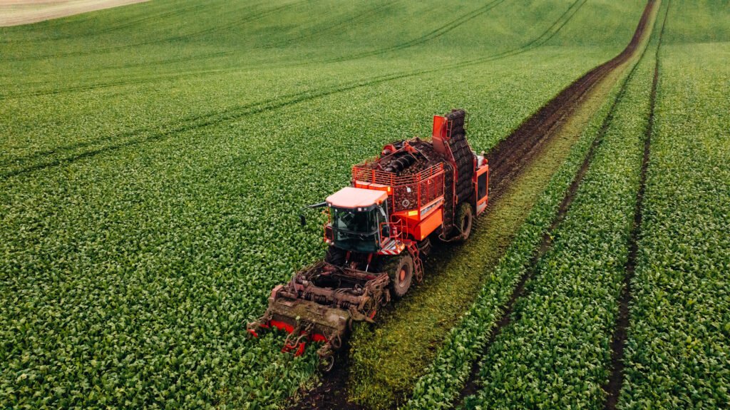 About aerial view of beet harvester on the green agricultural field