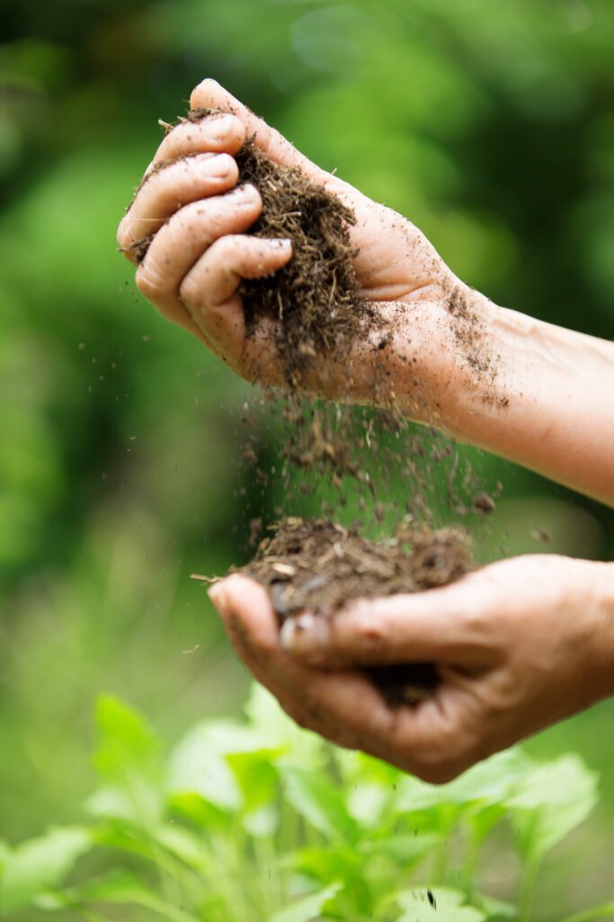 The Science of REMINUTA woman's hands holding flower soil