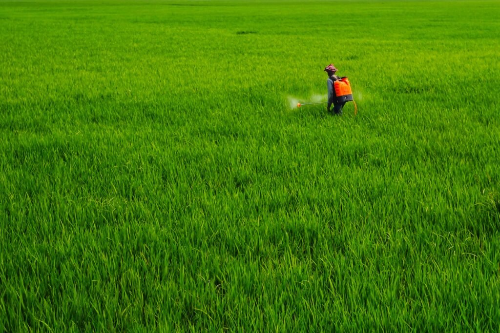 Products A farmer spraying fertilizer with a backpack in a vibrant green field in Bolpur, India.