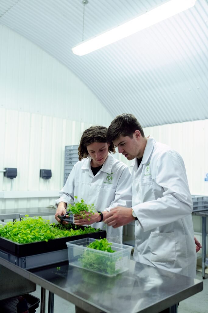 Home Two scientists working with plants in a controlled indoor farming laboratory setting.