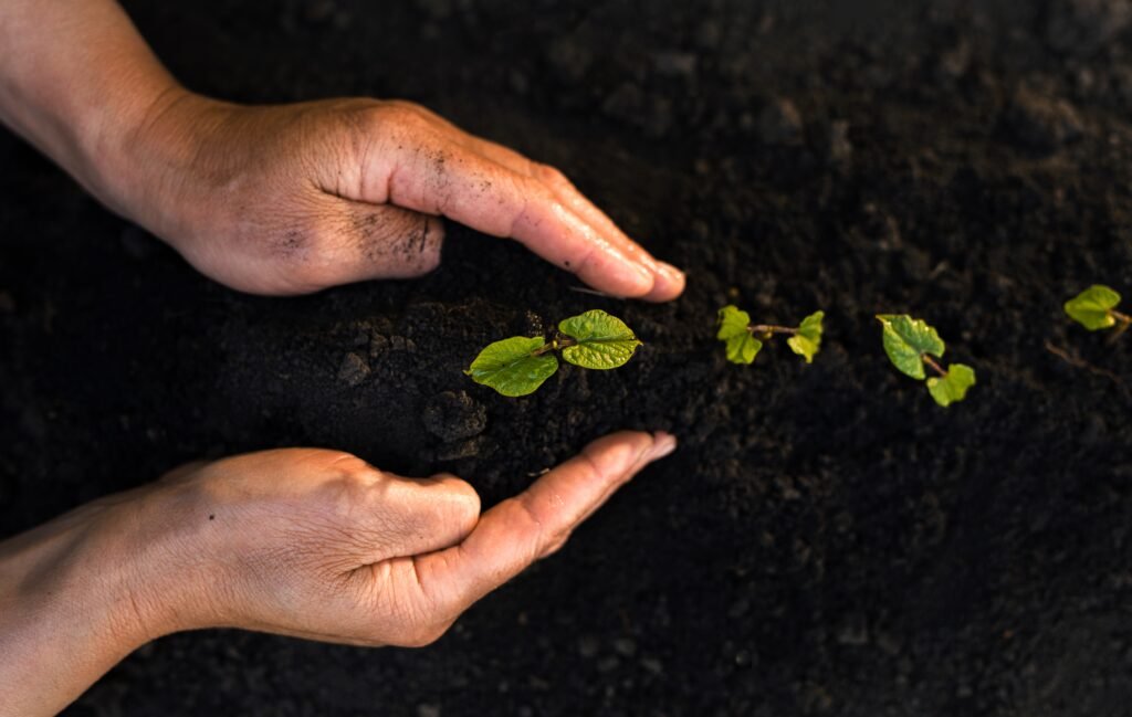 Hands Gently Planting Seedlings In Rich Soil 2026 03 09 06 37 22 Utc 1024x649